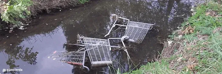 winkelwagen gedumpt